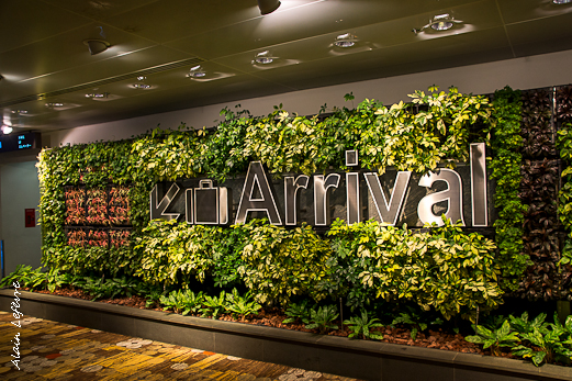 mur végétal à l'aéroport de Singapour 