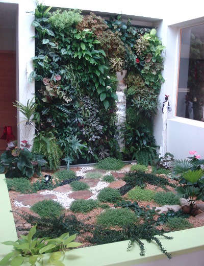 mur végétal en intérieur chez un particulier