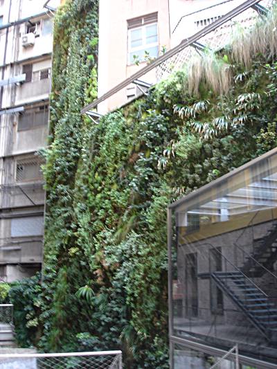 mur végétal réalisé par Patrick Blanc en extérieur à Barcelone